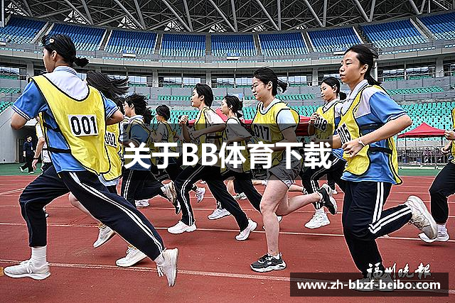 关于BB体育下载
